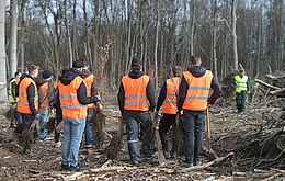 Umweltlotterie: Jeder Baum zählt!