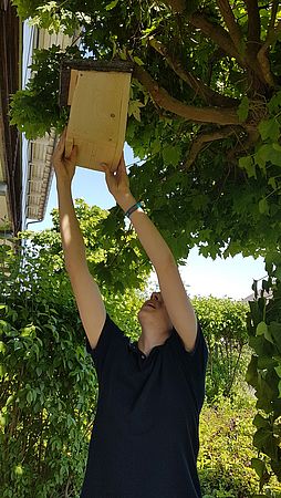 Umweltlotterie: Vogelzug und Vogelschutz an der Burgwaldschule