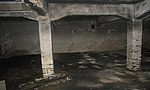 Umweltlotterie: Umbau alter Kriegsbunker als Winterquartier für Fledermäuse