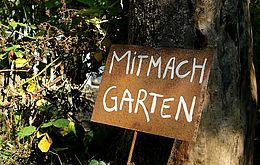 Umweltlotterie: Gemüseheldinnen Frankfurt Umweltlotterie: Gemüseheldinnen Frankfurt
