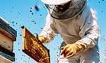 Umweltlotterie GENAU: Ausbau/Erweiterung Vereinsbienenstand – Ein Treffpunkt für Bienen, Natur und Umweltbildung