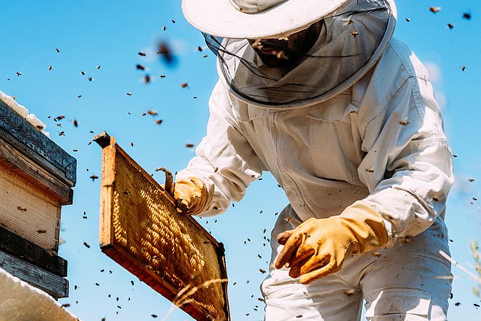 Umweltlotterie GENAU: Ausbau/Erweiterung Vereinsbienenstand – Ein Treffpunkt für Bienen, Natur und Umweltbildung