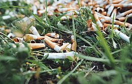 Umweltlotterie: Die Naturengel - Aktionstage gegen Kippen-Schnippen & wilden Müll