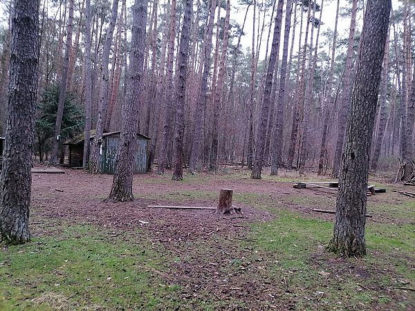 Umweltlotterie: Fledermausprojekt für Kitas in Waldacker / Rödermark