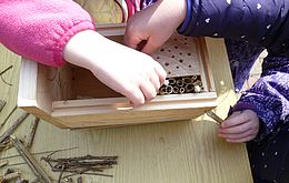 Im Bild (LeNa Kassel): Kleine Forscher setzen auf dem LeNa einen Nistkasten für Insekten zusammen