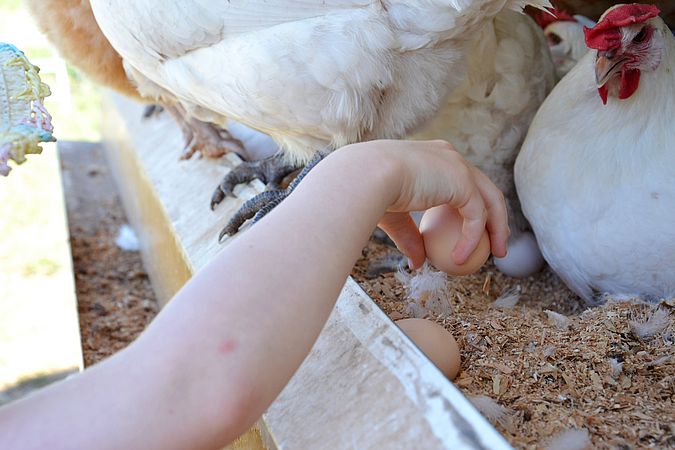 Umweltlotterie: Landwirtschaft begreifen