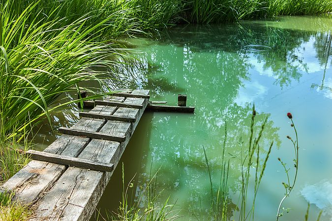 Umweltlotterie: Ausrüstung eines Feuchtbiotopes zum Lehrbiotop