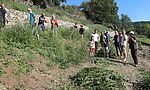 Umweltlotterie GENAU: Lebendige Trockenmauer im Meerbachtal