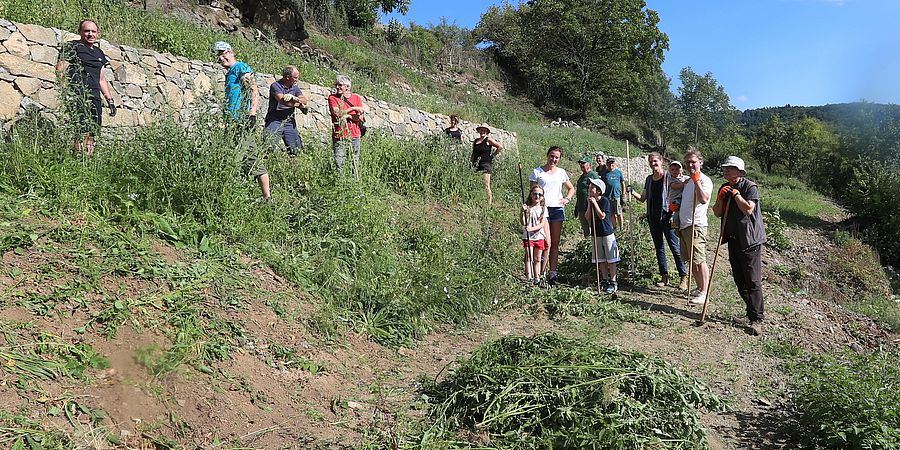 Umweltlotterie GENAU: Lebendige Trockenmauer im Meerbachtal