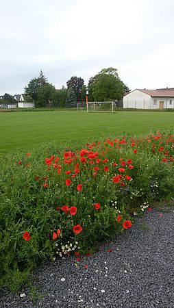 Umweltlotterie: Ein Herz für Natur und Sport