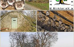 Umweltprojekt: "Umbau eines stillgelegten Hochbehälters zum Winterquartier für Fledermäuse"