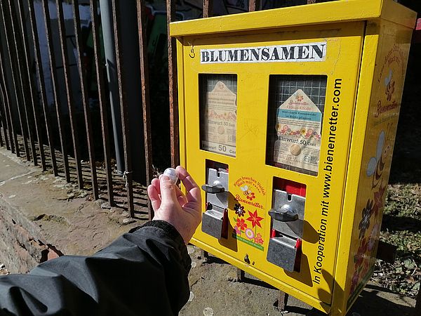 Umweltlotterie: Bienenrettung aus (ehemaligen) Kaugummi-Automaten