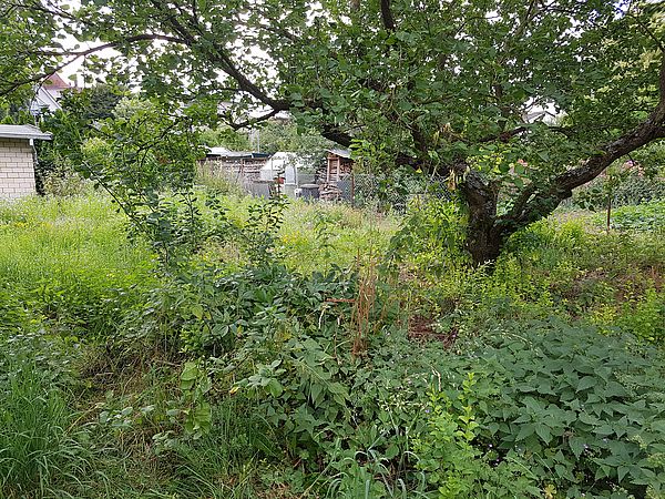 Umweltlotterie: Natur und Nutzgarten für unsere Kita Kinder