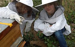Umweltlotterie: Bienen am Campus Klarenthal