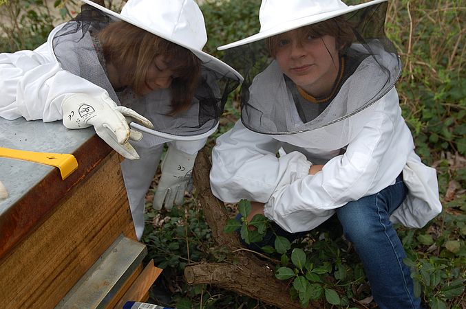 Umweltlotterie: Bienen am Campus Klarenthal