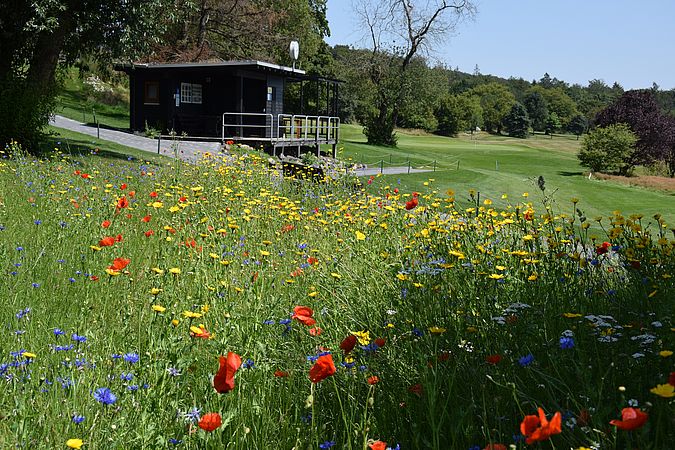 Umweltlotterie: Bienengarten mit Barfußpfad