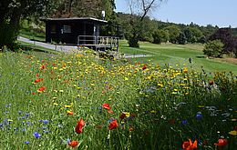 Umweltlotterie: Bienengarten mit Barfußpfad