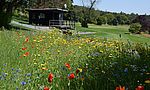 Umweltlotterie: Bienengarten mit Barfußpfad