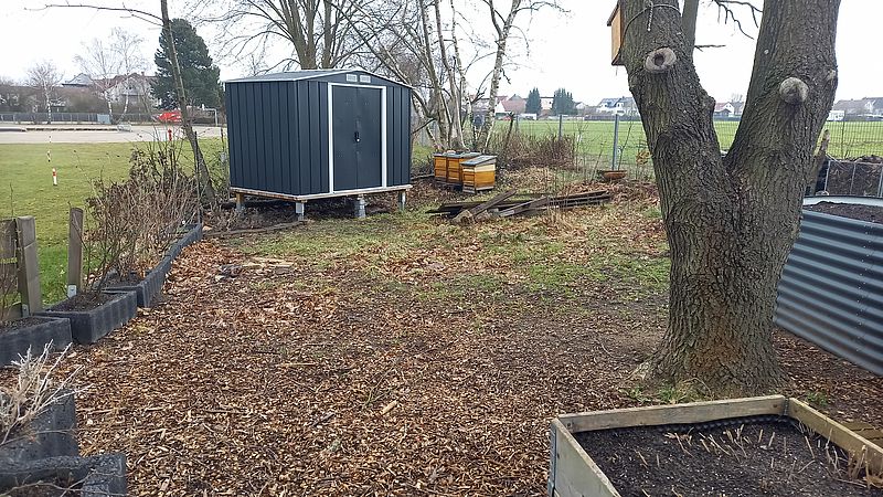 Umweltlotterie: Schulgartenerweiterung an der Heinrich-Böll-Schule in Rodgau Nieder-Roden