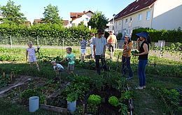 Umweltlotterie: Essbarer Quadratmeter