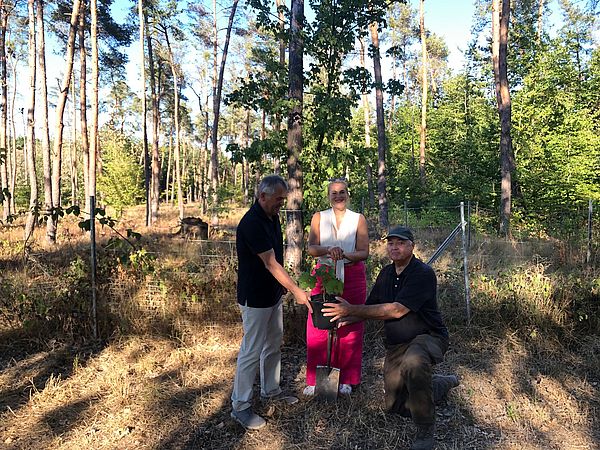 Umweltlotterie: Rotarische Baumpflanzaktion