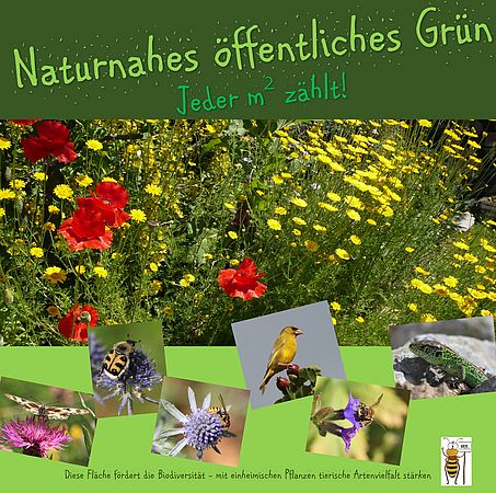 Umweltlotterie: Nachbarschaftsinitiative Bee Sossenheim für ein bienenfreundliches Sossenheim