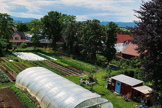 Umweltlotterie: Zukunft pflanzen im Klostergarten Ilbenstadt
