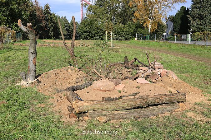 Umweltlotterie: Nachbarschaftsinitiative Bee Sossenheim für ein bienenfreundliches Sossenheim