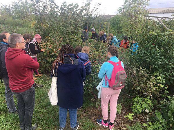 Umweltlotterie: Lernort Streuobstwiese - Grünes Klassenzimmer MNS