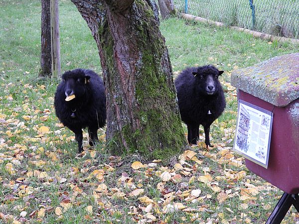 Umweltlotterie: Biotop "Die Rote Erde"