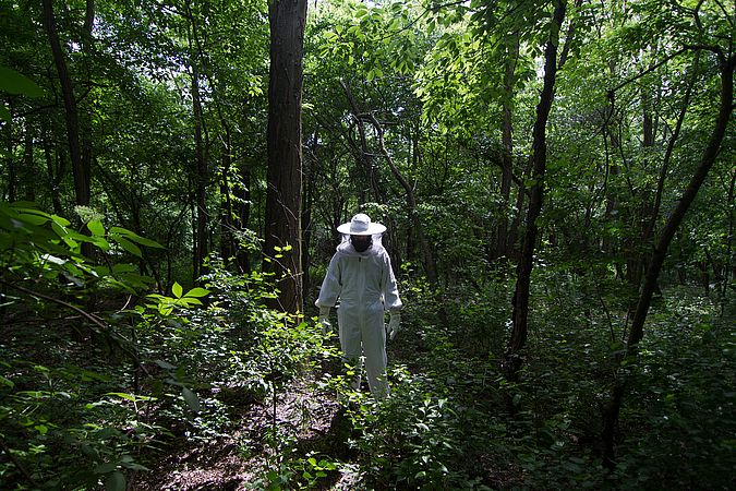 Umweltlotterie: Bienenprojekt im Waldkindergarten Niedenstein