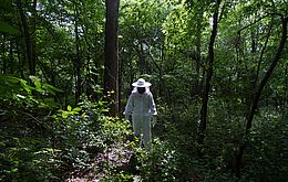 Umweltlotterie: Bienenprojekt im Waldkindergarten Niedenstein