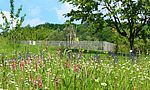 Umweltlotterie: Wildwiesen e.V. - Wildwiesenmahd im Höchster Stadtpark