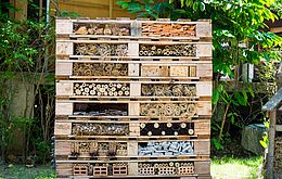 Umweltlotterie: Lebensturm im Bereich des Natur-und Kulturlandschaftslehrpfades Merzhausen errichten