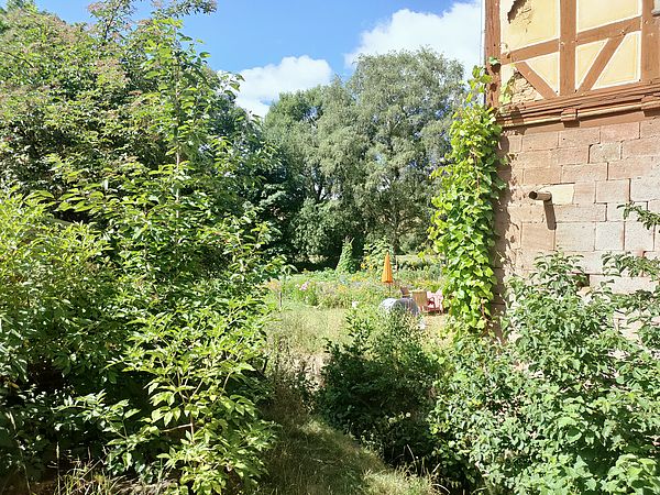 Umweltlotterie: Fleckenbühler Mühle - Entwicklung eines biodiversen Naturraumes am Roten Wasser