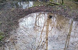 Umweltlotterie: Der Froschgarten