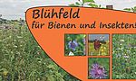 Umweltlotterie: Blühfeld-Initiative