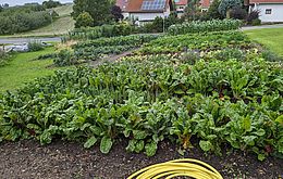 Umweltlotterie: Umweltbildung und handlungsorientierter Unterricht am Schaafgarten