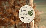 Umweltlotterie: Nachpflanzung von Obstbäumen in bestehenden Obstbaum Alleen an Feldwegen