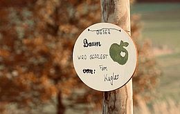 Umweltlotterie: Nachpflanzung von Obstbäumen in bestehenden Obstbaum Alleen an Feldwegen