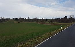 Umweltlotterie: Revitalisierung einer Streuobstwiese und Begrünung Radweg Umweltlotterie: Revitalisierung einer Streuobstwiese und Begrünung Radweg