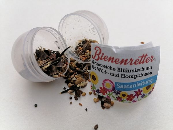 Umweltlotterie: Bienenrettung aus (ehemaligen) Kaugummi-Automaten