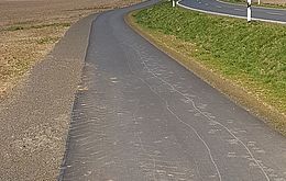 Umweltlotterie: Revitalisierung einer Streuobstwiese und Begrünung Radweg