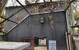 Umweltlotterie: Barrierefreier Hühnerstall Umweltlotterie: Barrierefreier Hühnerstall