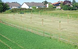 Umweltlotterie: Erweiterung meiner Streuobstwiese Umweltlotterie: Erweiterung meiner Streuobstwiese