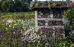 Umweltlotterie: XXXXL Bienenhotels entlang des Natur- und Kulturlandschaftslehrpfades Merzhausen