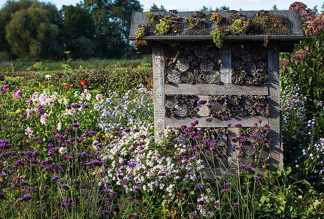 Umweltlotterie: XXXXL Bienenhotels entlang des Natur- und Kulturlandschaftslehrpfades Merzhausen