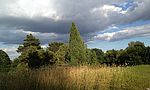 Umweltlotterie: Wacholderheide Eschenburg Eiershausen