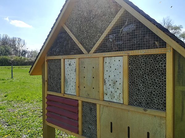 Umweltlotterie: Aufstellung von Insektenhotels an Schulen und Kindergärten