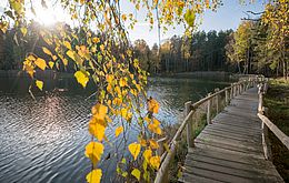 Umweltlotterie: Wiederherstellung und Optimierung des Ruhlsee-Lehrpfades